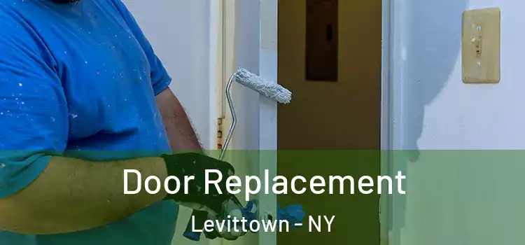Door Replacement Levittown - NY