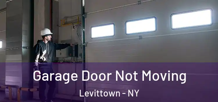  Garage Door Not Moving Levittown - NY