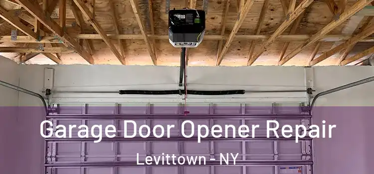 Garage Door Opener Repair Levittown - NY