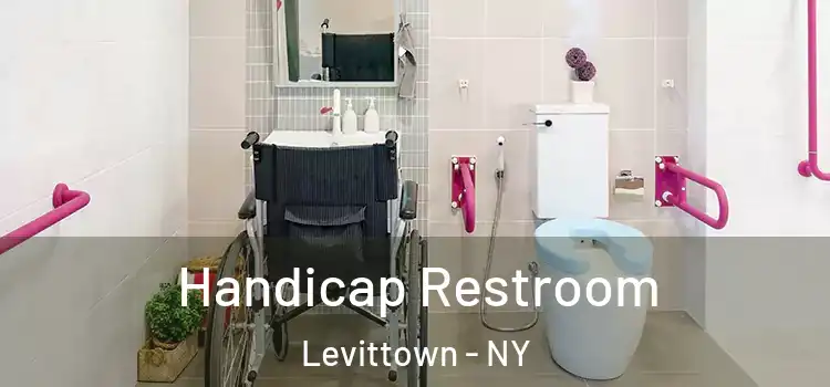  Handicap Restroom Levittown - NY