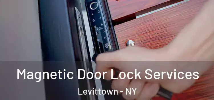 Magnetic Door Lock Services Levittown - NY
