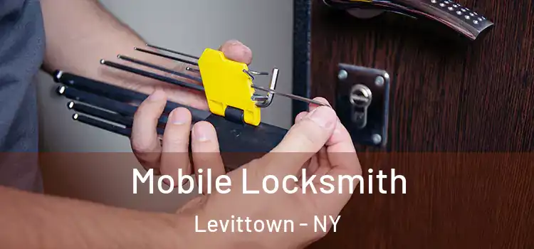 Mobile Locksmith Levittown - NY