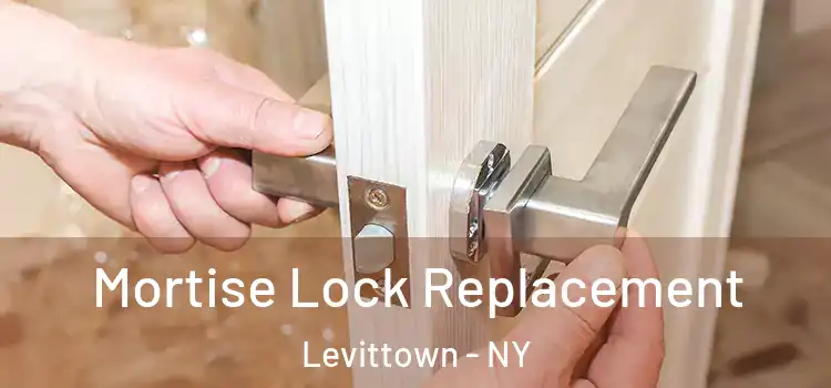 Mortise Lock Replacement Levittown - NY