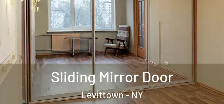  Sliding Mirror Door Levittown - NY