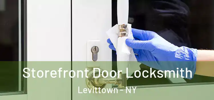 Storefront Door Locksmith Levittown - NY